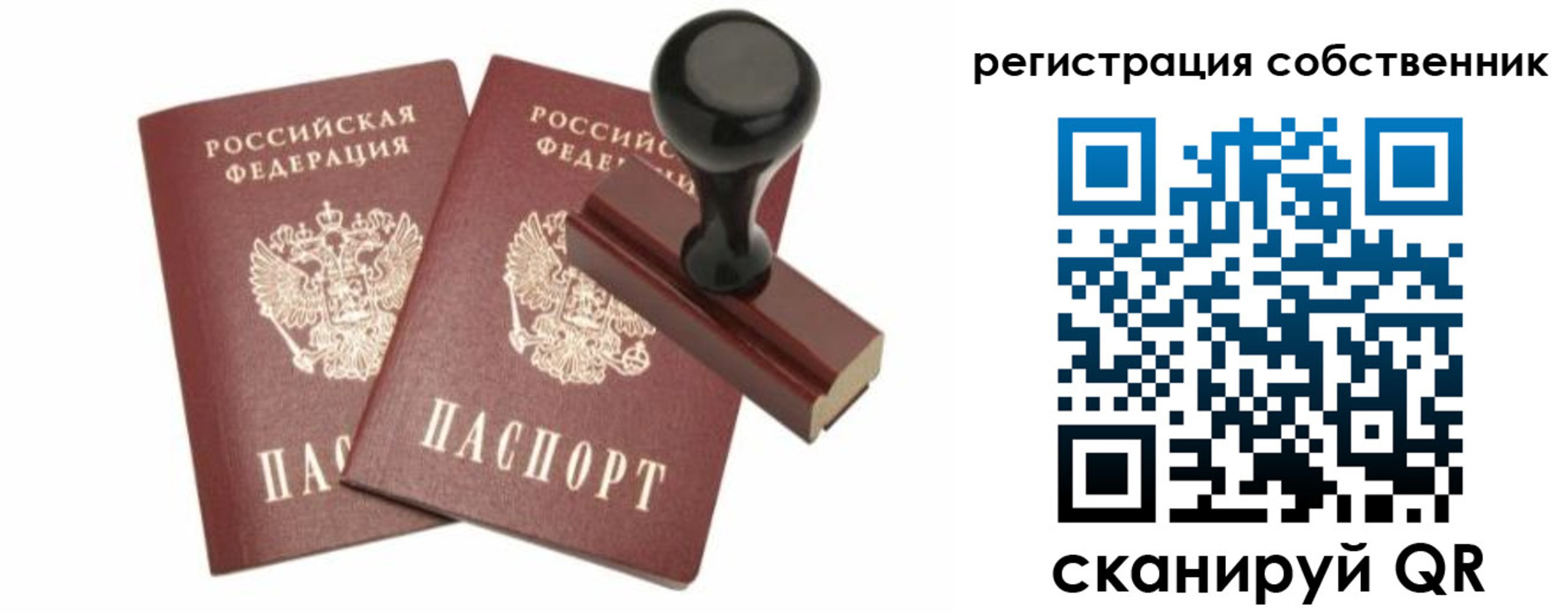 прописка паспорт в Бабаево